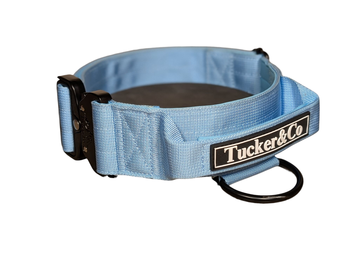 Tucker&Co London Tactical Collar with Handle in Sky Blue.